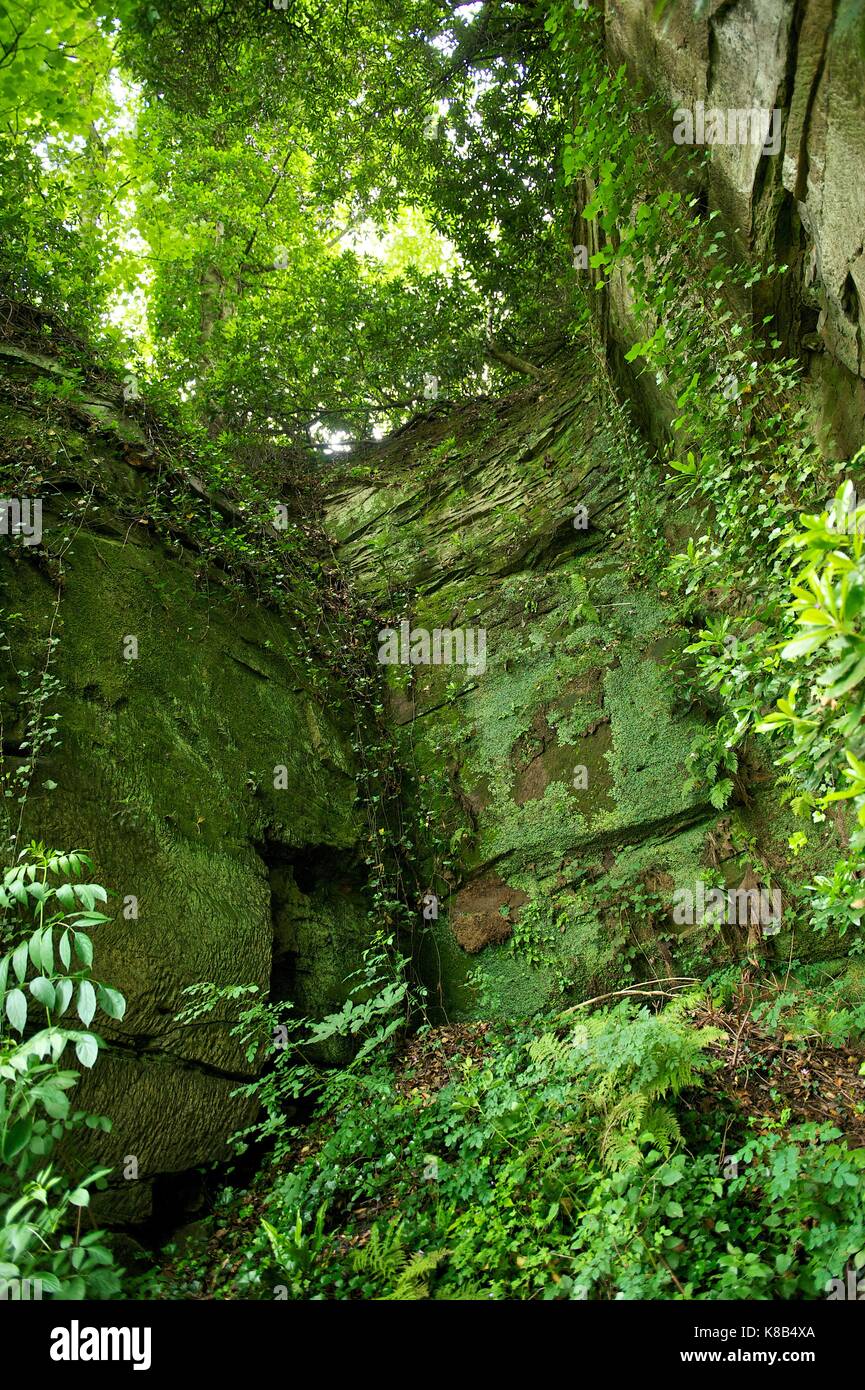 Il "delph, worsley, Manchester Foto Stock