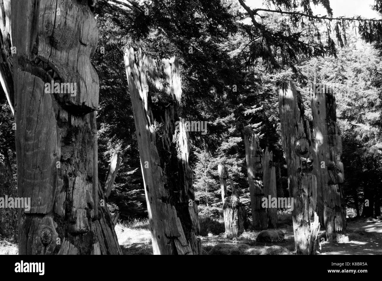 Il funerale di pali, noto anche come totem, in SGang Gwaay sito patrimonio mondiale, Haida Gwaii, Prime Nazioni, British Columbia, Canada Foto Stock