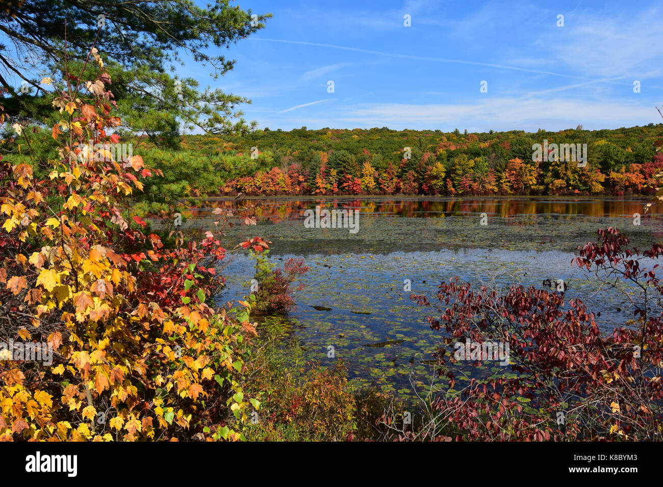 Brillante caduta delle foglie che circondano il lago di lucida Foto Stock