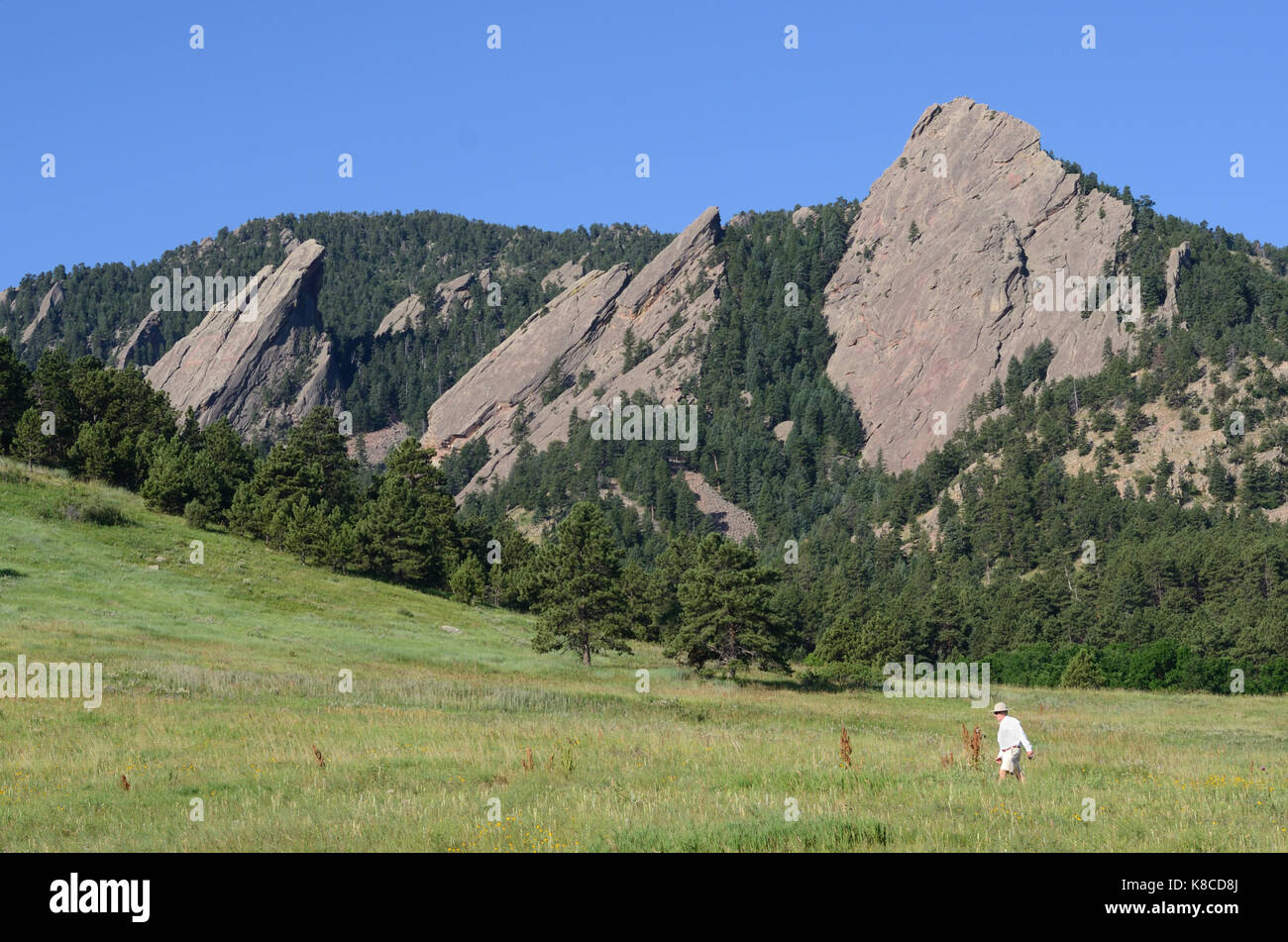 Boulder iconoc mountain view. Il Flatirons e Montagna Verde Foto Stock