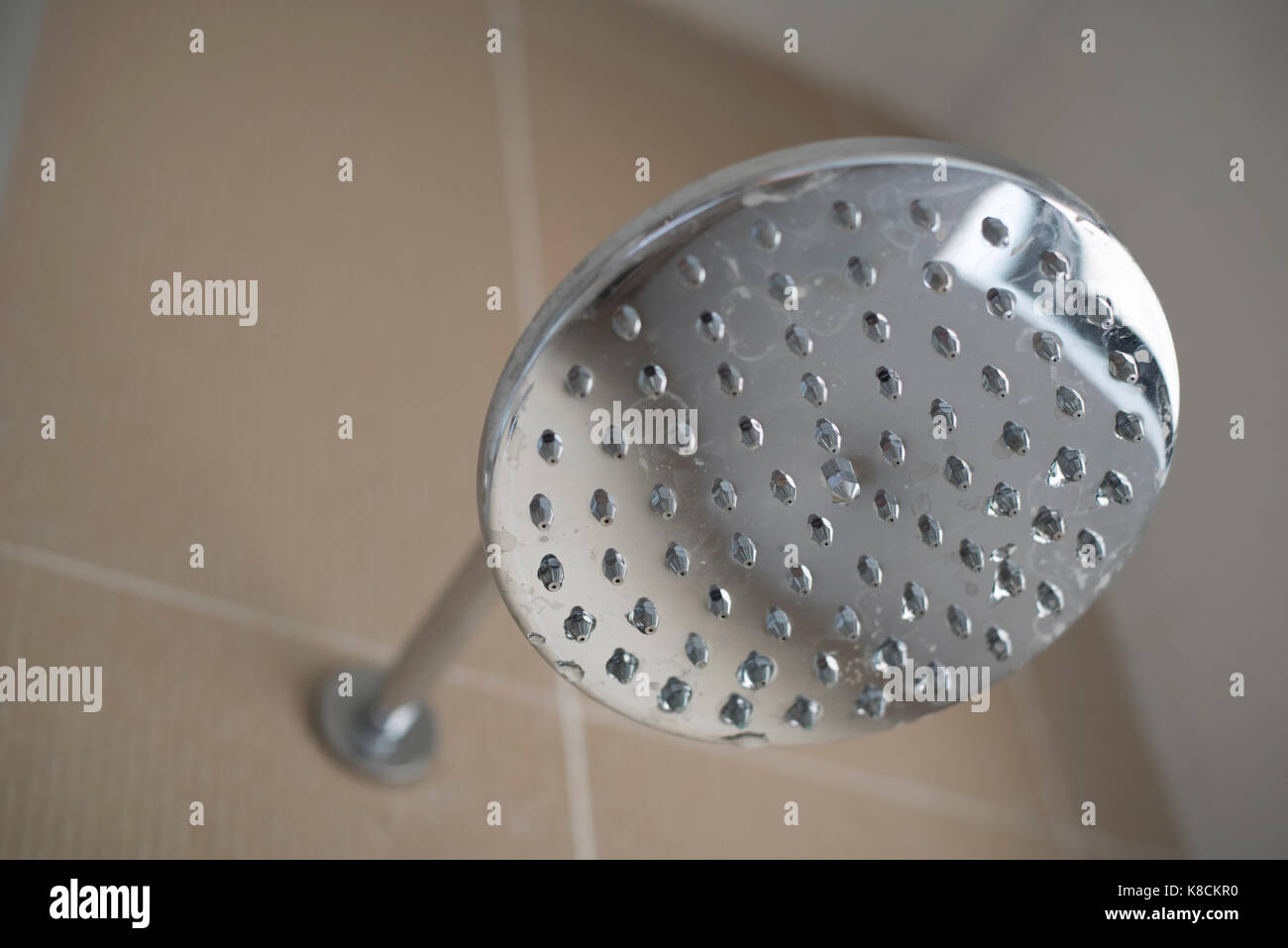 Foto di testa di doccia nel bagno (close up messa a fuoco selettiva) Foto Stock