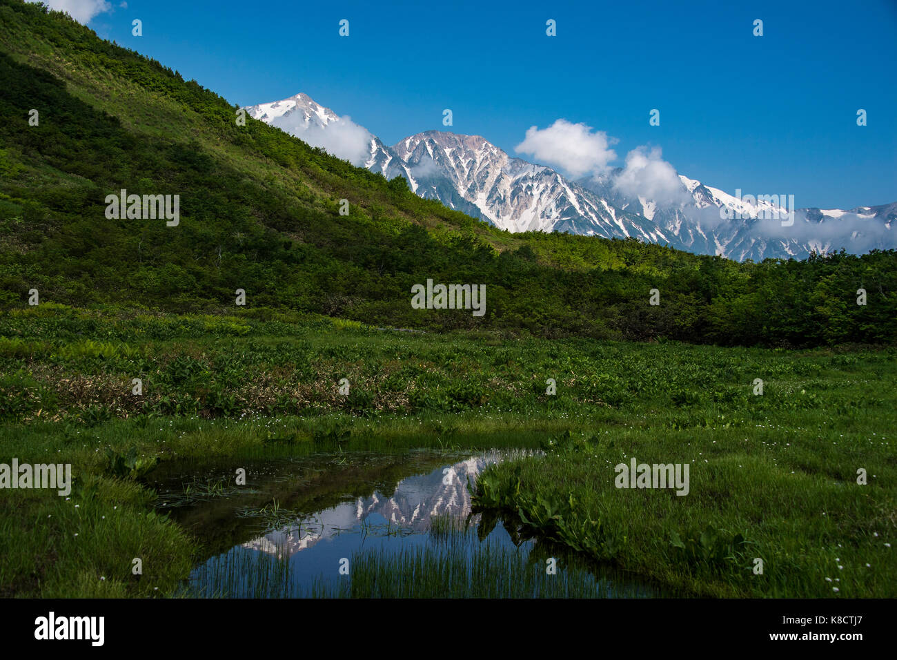 Mt. hakubayari e mt. shakushi riflessa su acqua a kamachi marsh Foto Stock