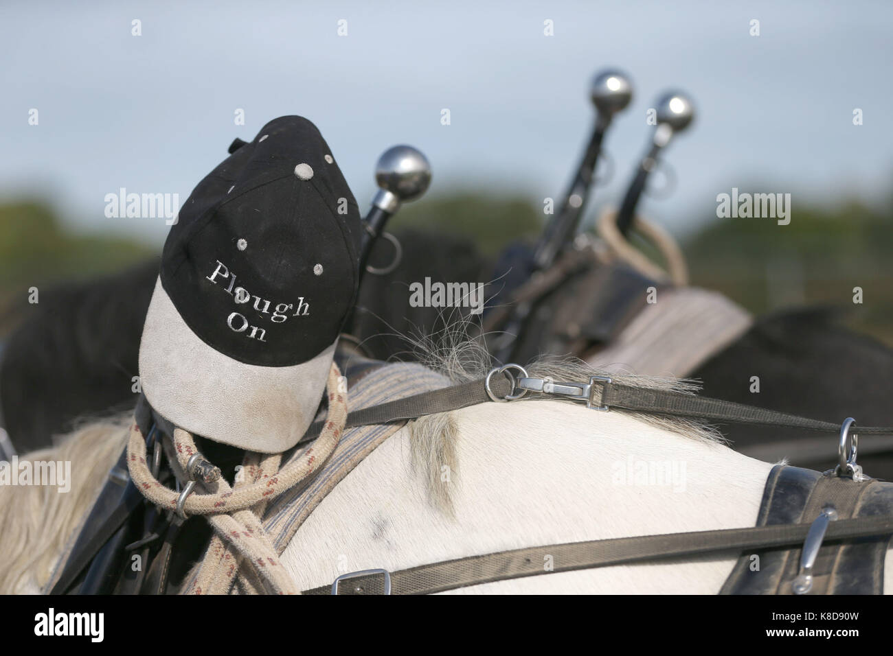 Un concorrenti hat è visibile a livello nazionale dei campionati di aratura in tullamore co offaly. Foto Stock
