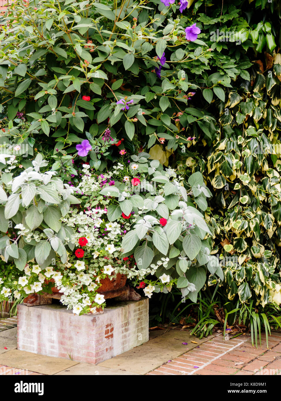 La Old Vicarage giardino in Oriente Ruston, Norfolk, Regno Unito sono una attrazione turistica molto rinomata e sono state create da Alan grigio e il suo partner Foto Stock