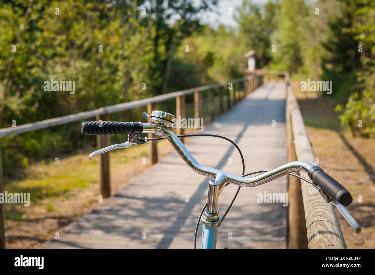 Pista ciclabile e manubrio di bicicletta di close-up. noleggio città gentile. eco-friendly di trasporto e di uno stile di vita sano concetto. Foto Stock