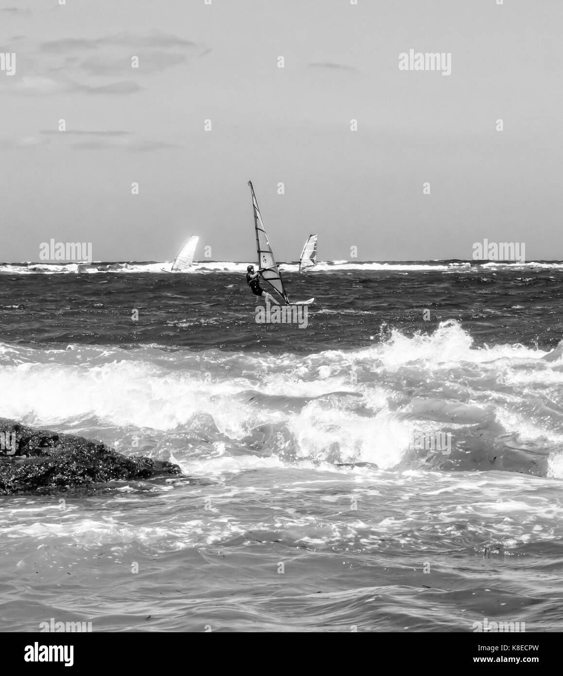 Windsurf in un giorno di tempesta. foto in bianco e nero. Foto Stock