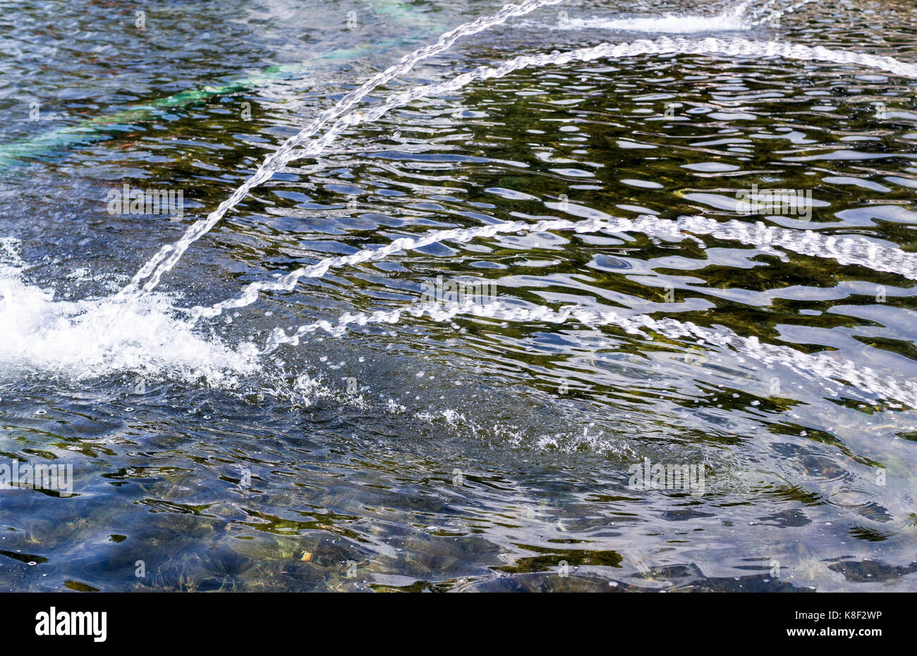 Fresco e pulito di getti di acqua in una fontana. Sfondo. Foto Stock Fresco e pulito di getti di acqua in una fontana. Sfondo. Foto Stock