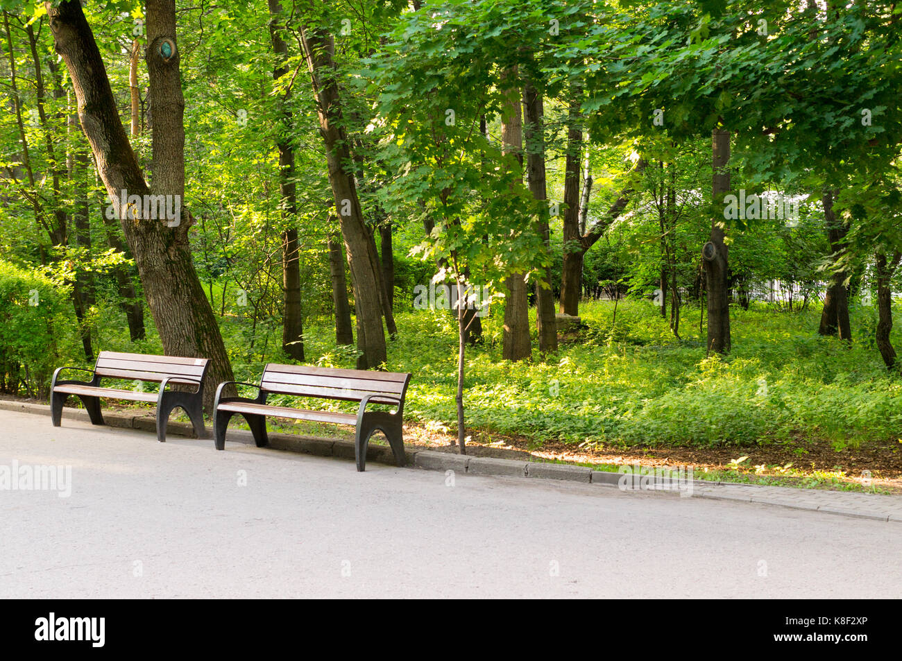 Percorso con banco in un tranquillo parco di estate. sfondo, natura. Foto Stock