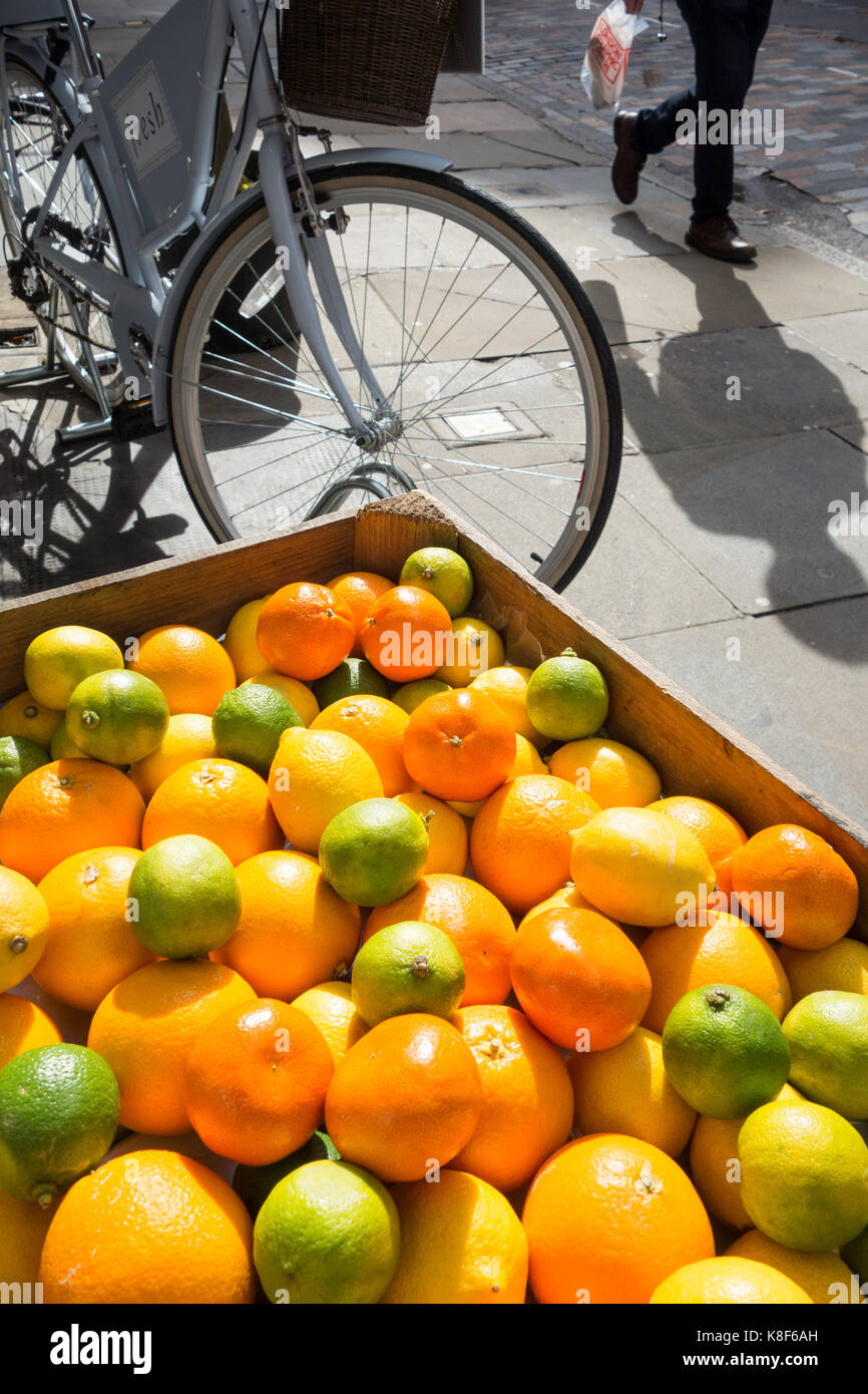 Una scatola di arance, limoni e limette sul display in una strada di Londra. Foto Stock