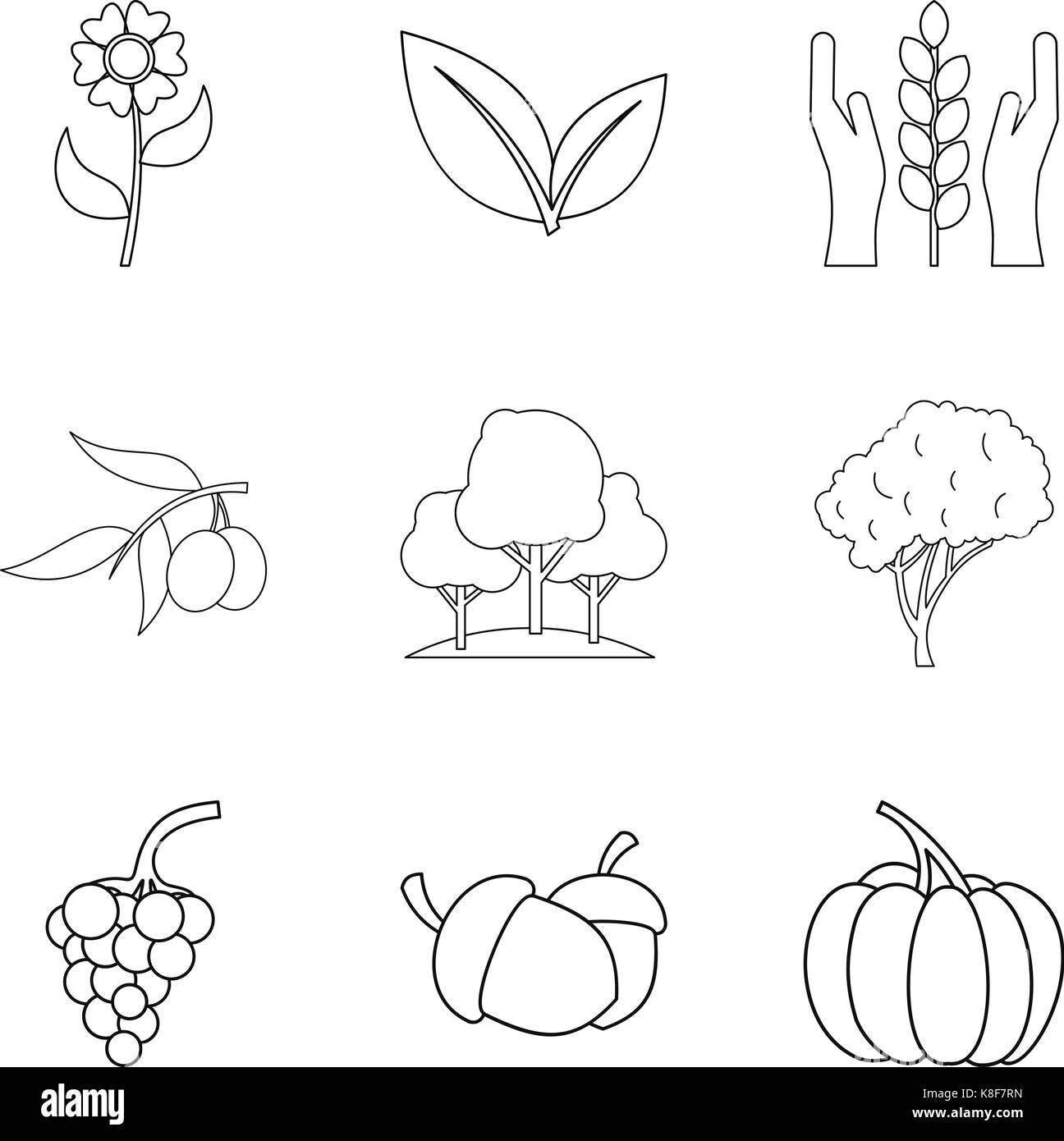 Impollinazione dei fiori di set di icone di stile di contorno Illustrazione Vettoriale