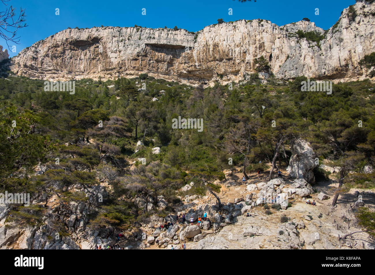 Paroi des allasua in calanque de sugiton,calanques national park, sud della Francia Foto Stock