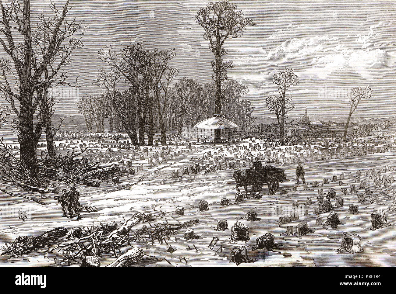 Oliveti danneggiati del Bois de Boulogne, Assedio di Parigi, 1871 Foto Stock