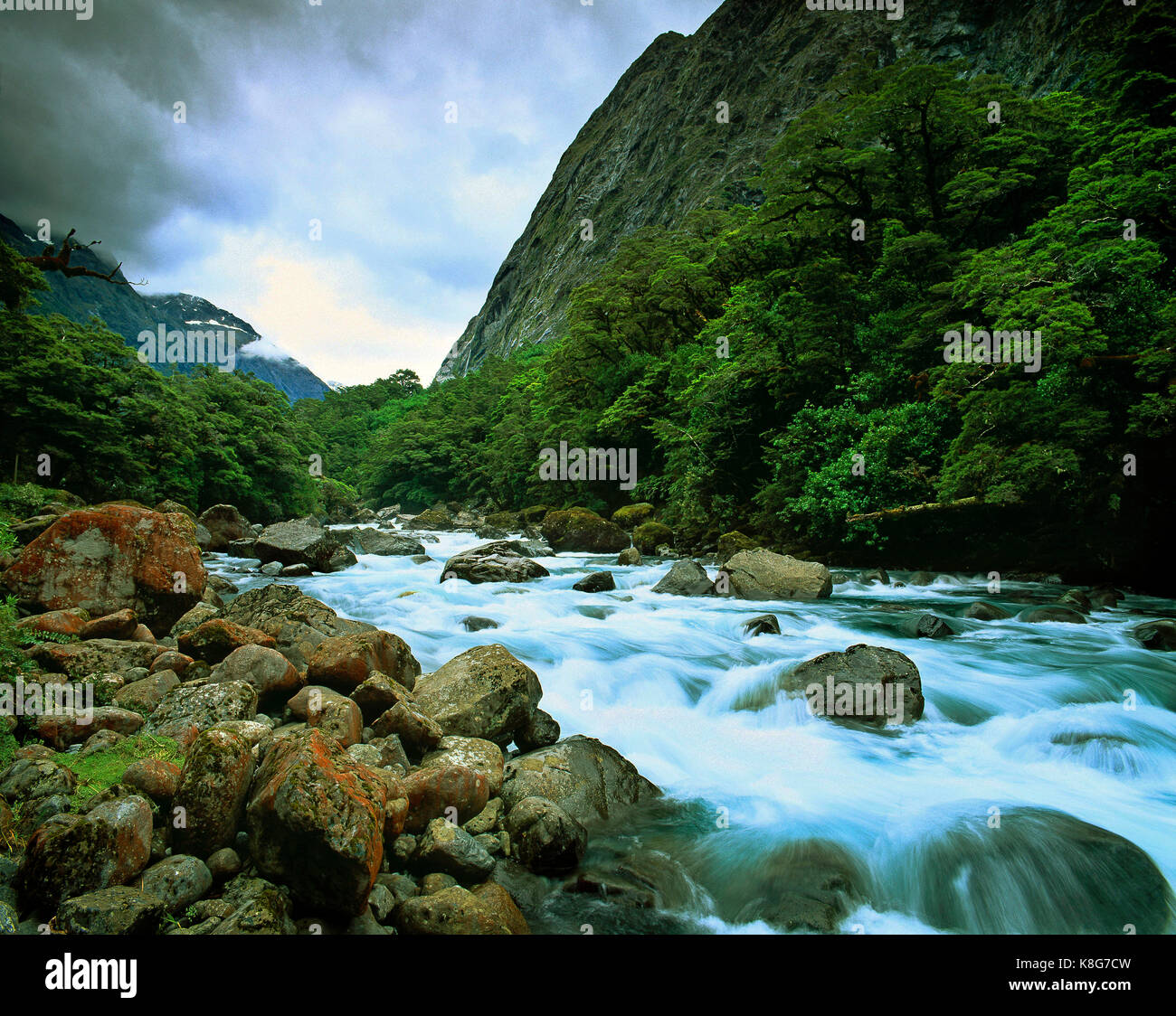 Nuova Zelanda. Milford Sound. veloce flusso di esecuzione. Foto Stock