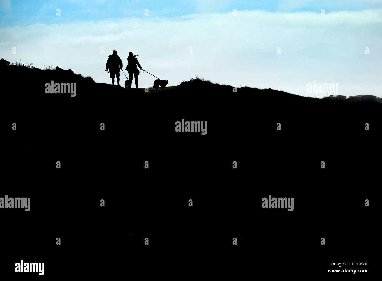 Silhouette di due persone a piedi i loro cani Foto Stock