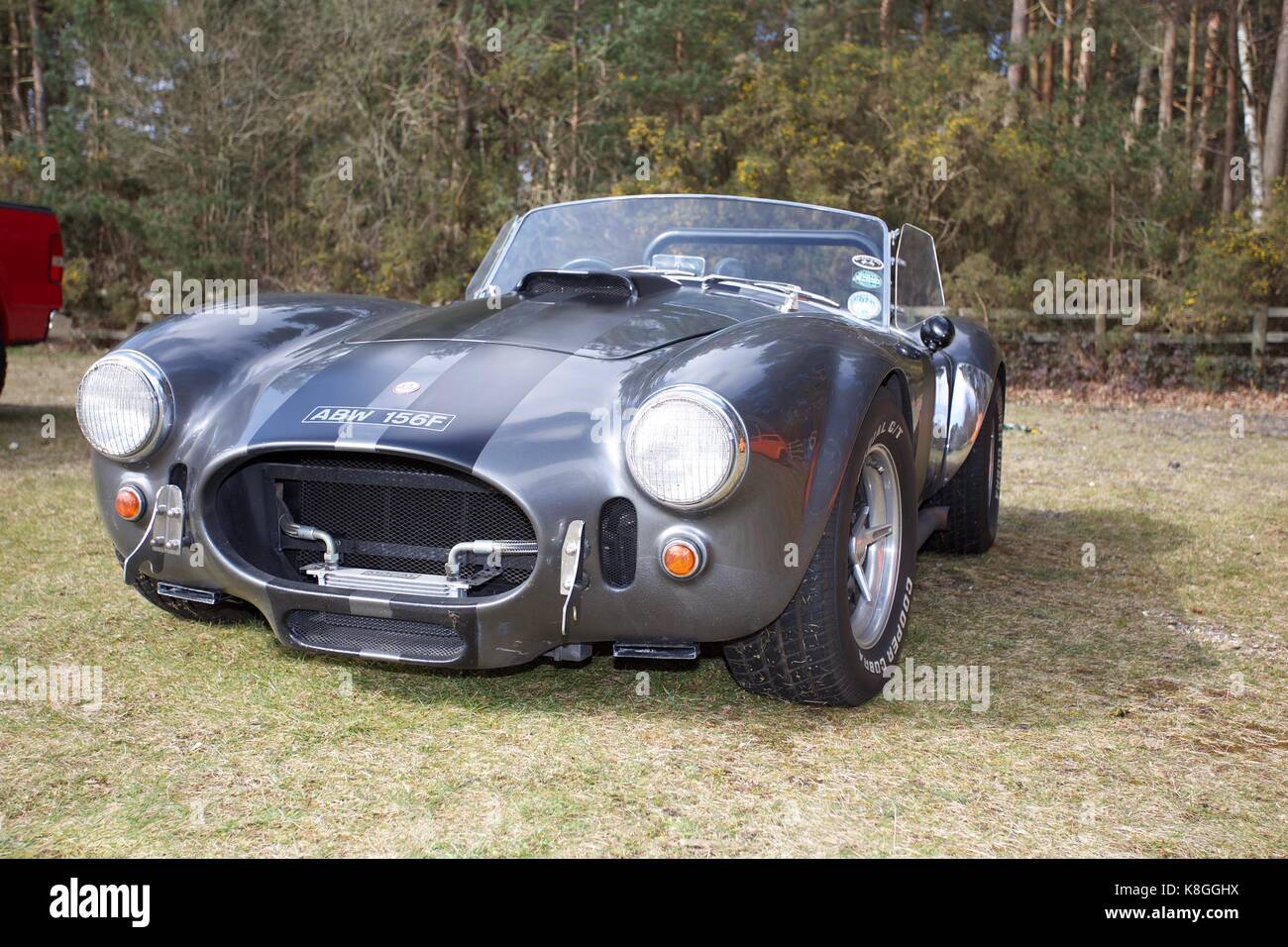 Ac cobra Foto Stock