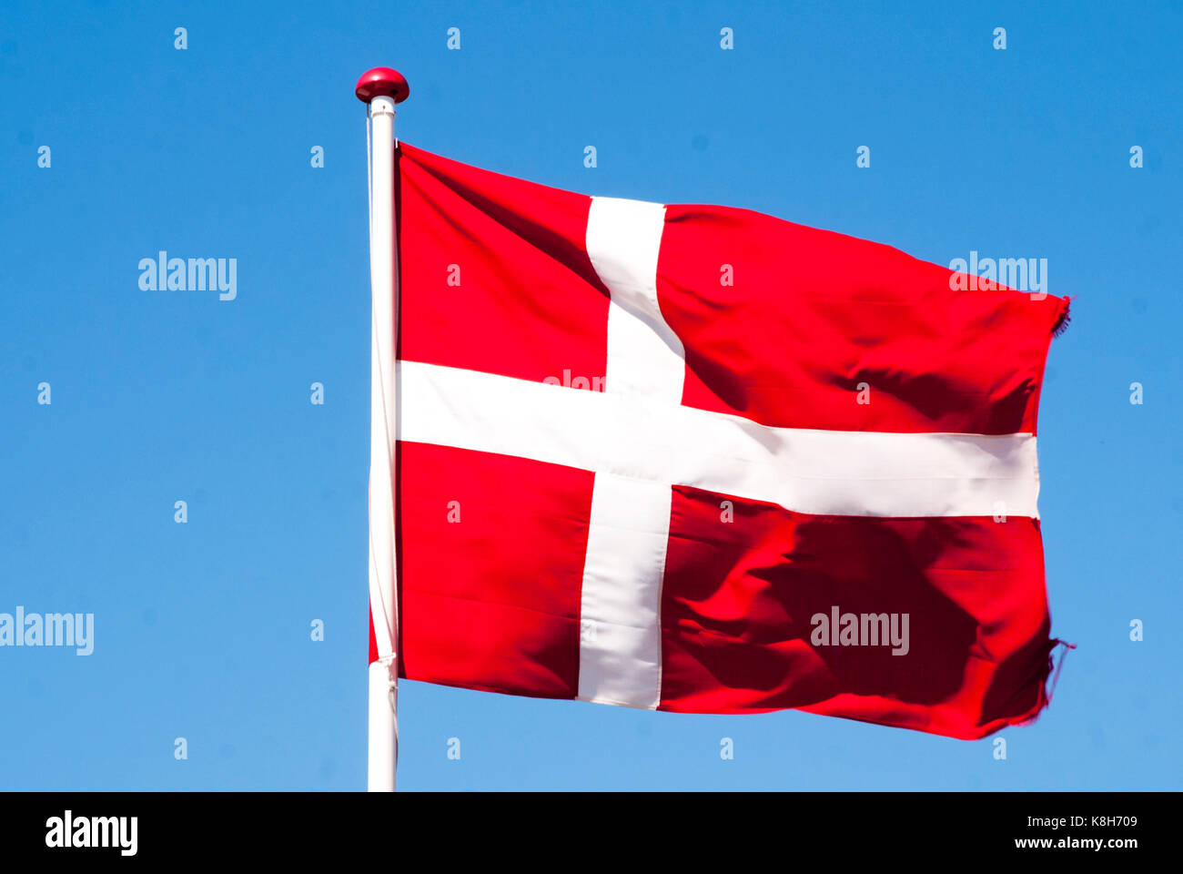 Bandiera della Danimarca nel vento Foto Stock
