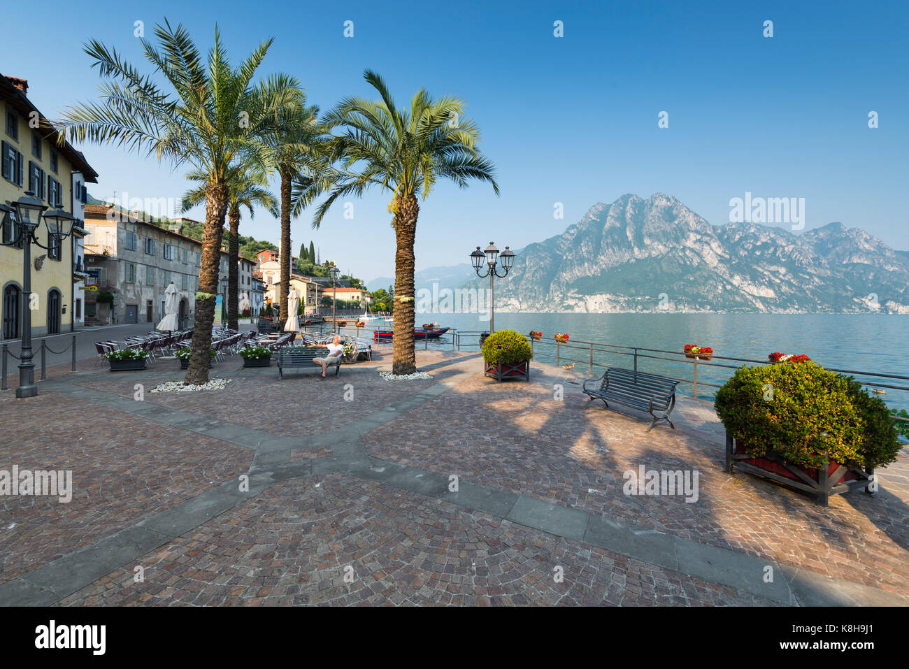 Uomo seduto su un banco di lavoro tra le palme di sera il sole sul lungomare di Riva di Solto sul lago d'Iseo, lombardia, italia Foto Stock