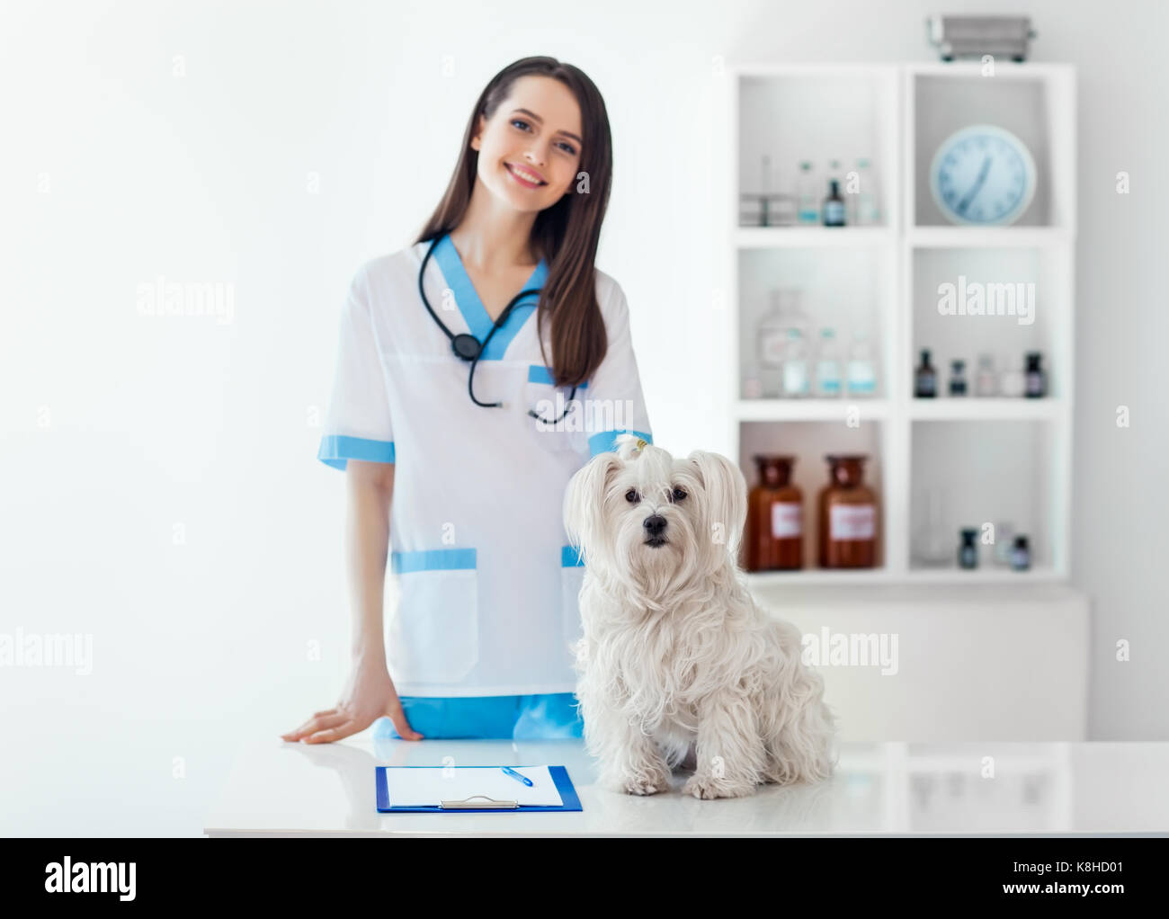 Bella sorridente medico veterinario e simpatico cane bianco in clinica veterinaria. Pet care Foto Stock