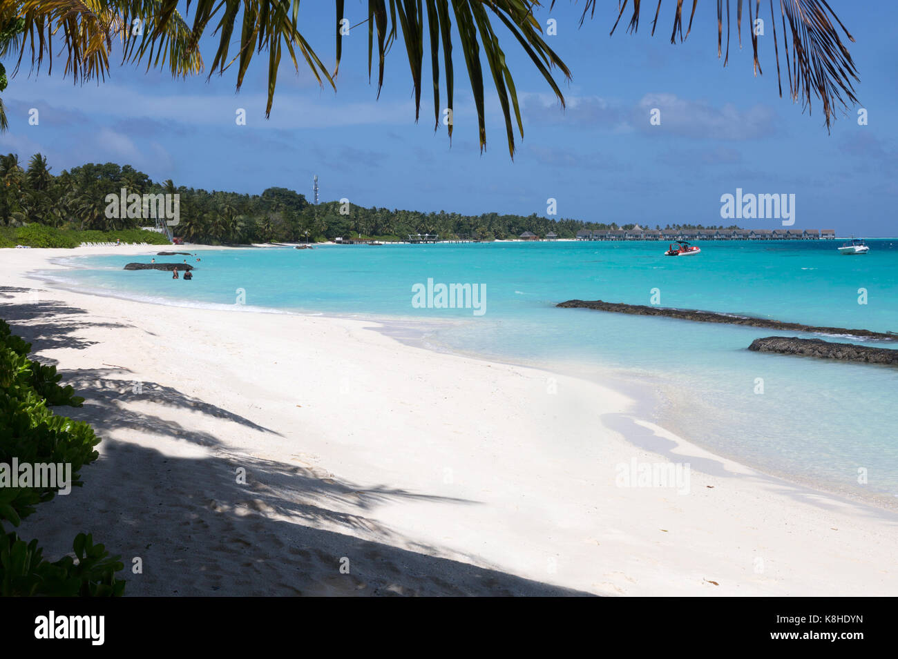 Maldive spiaggia - la spiaggia di sabbia bianca all'Atollo di Rasdhoo, Maldive, Asia Foto Stock