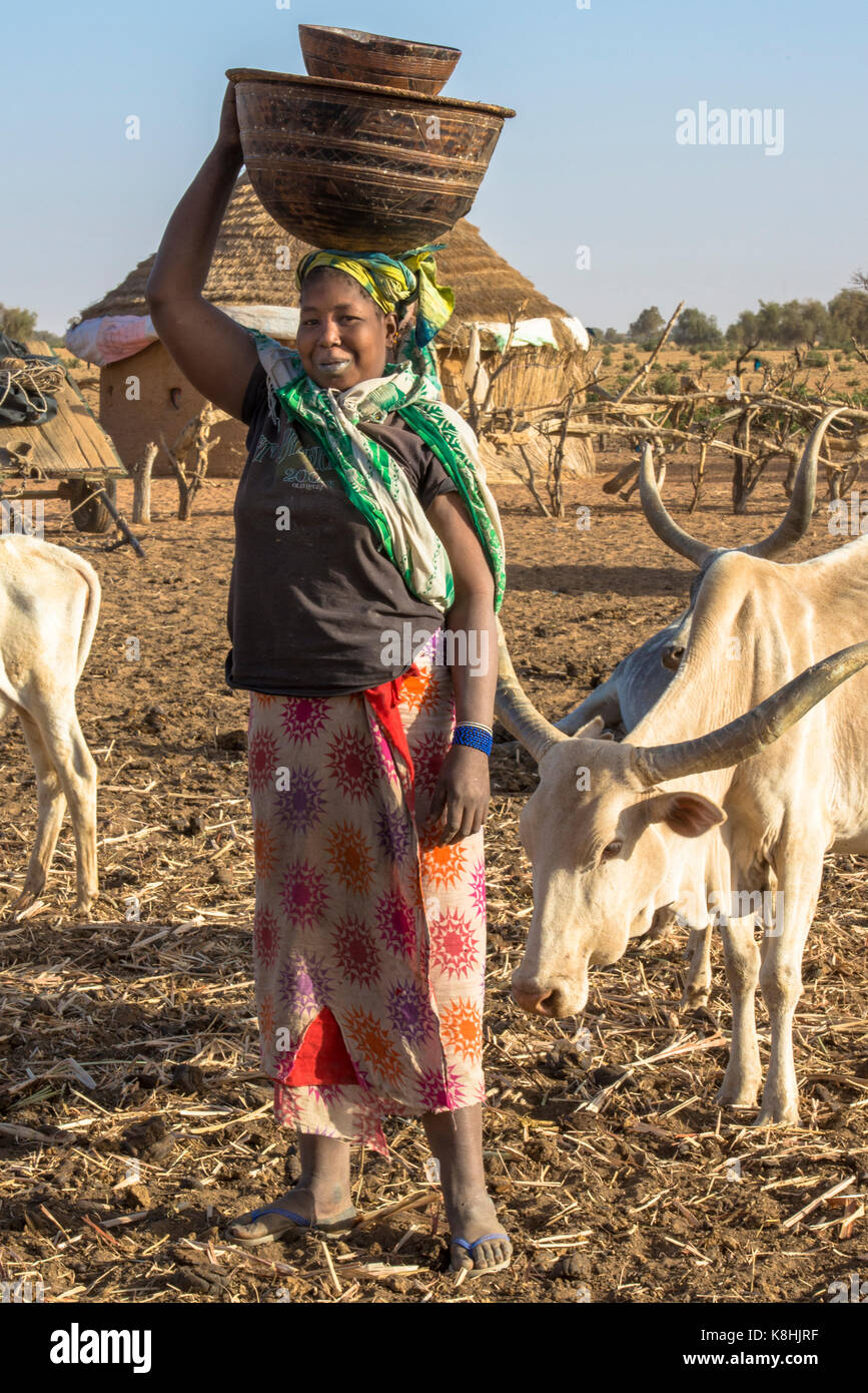 Peul bovini herder. Il Senegal. Foto Stock
