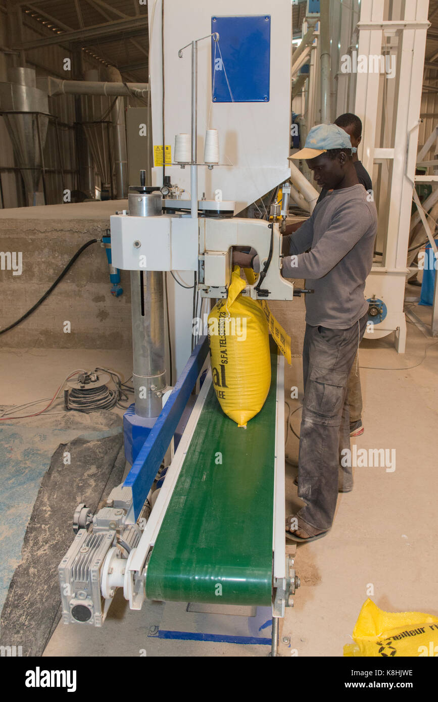 Lavorazione riso e confezionamento. senegal. Foto Stock