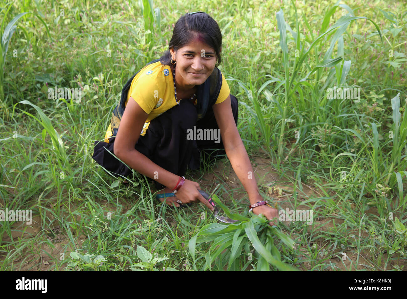 Giovane donna di villaggio vicino goverdan, Uttar Pradesh, India. Foto Stock