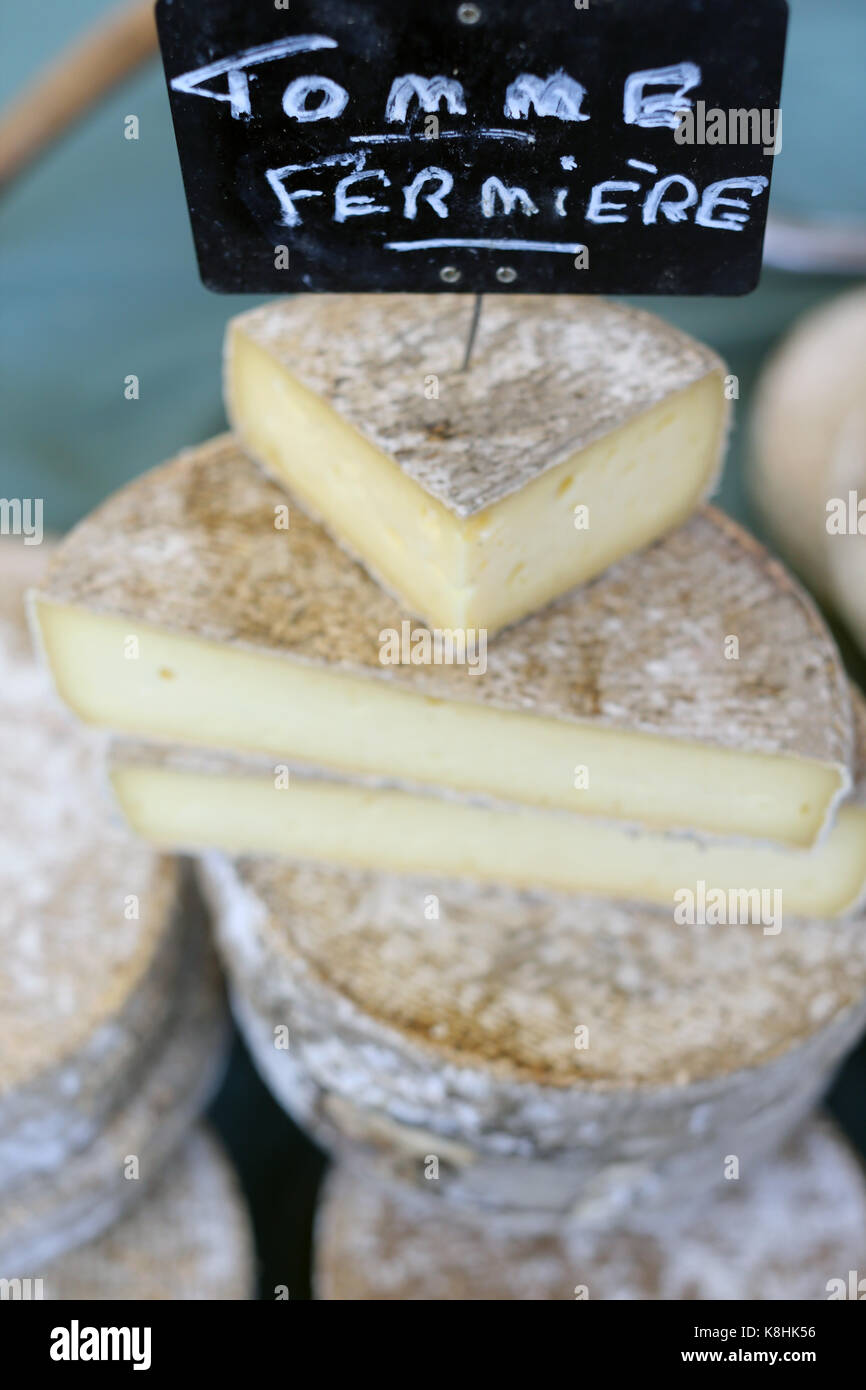 Tomme de savoie (formaggio tipico delle alpi francesi), francia. Foto Stock