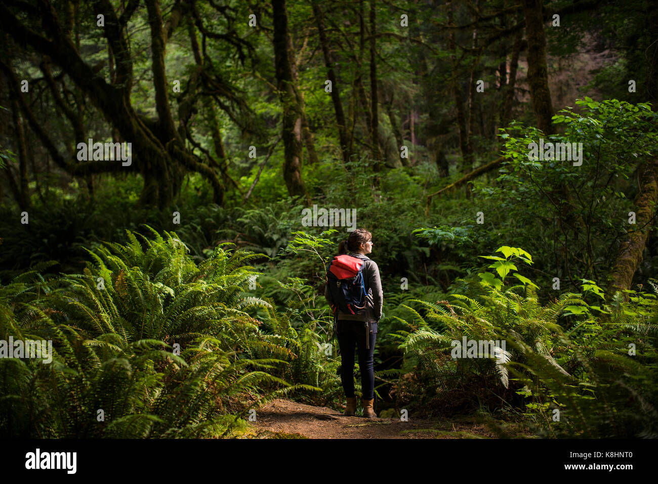 Vista posteriore di un escursionista femmina con zaino in piedi in mezzo alla foresta nazionale di Redwood e parchi statali Foto Stock