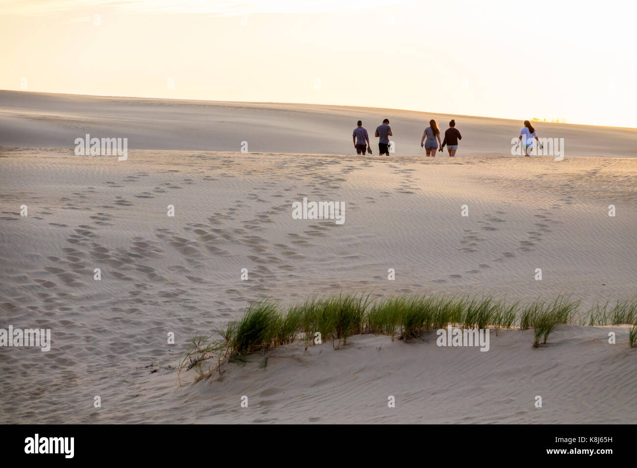 North Carolina,NC,Outer Banks,Cape Hatteras National Sea Watershore,Jockey's Ridge state Park,Living Sand Dune,kite,i visitatori viaggiano tou tour Foto Stock