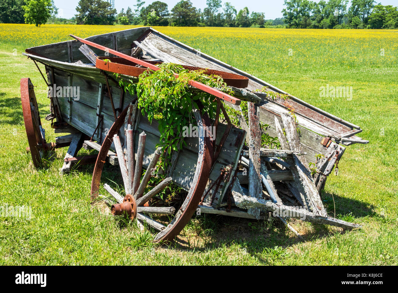 North Carolina, NC, Grandy, vagone di legno, reliquia, rurale, antico, RF NC170518185RF Foto Stock