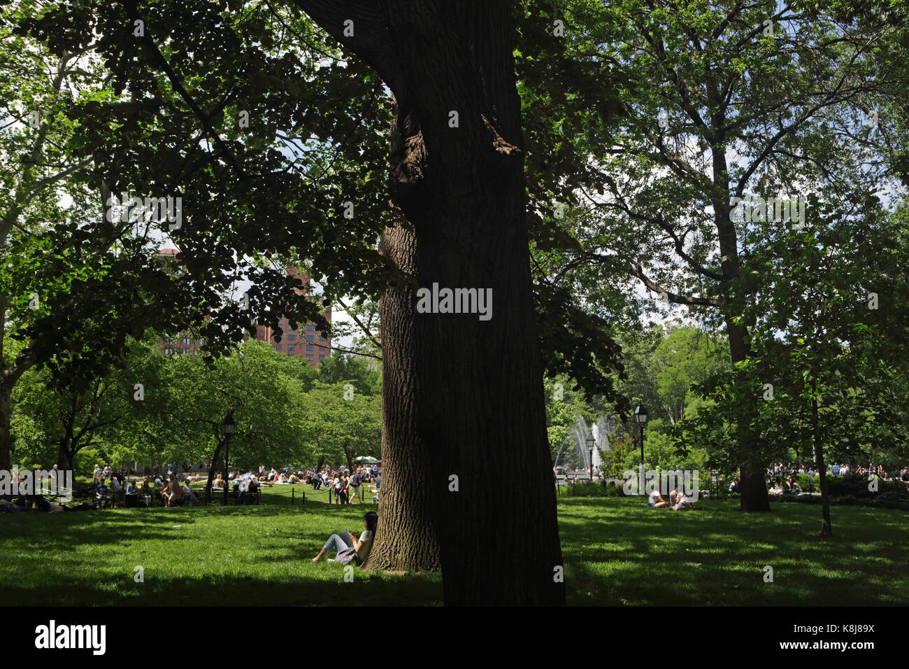 New york, ny, Stati Uniti d'America - 1 giugno 2017: ragazza gode seduto sotto un albero di ombra in una giornata di sole in Washington Square Park Foto Stock