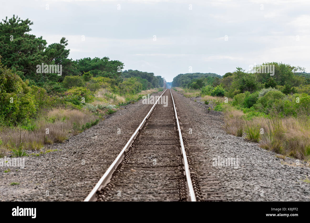 Binari del treno in Eastern long island guardando ad ovest e sparendo all'orizzonte Foto Stock