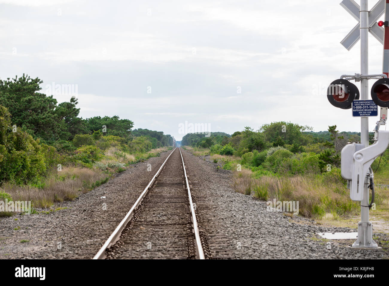 Binari del treno in Eastern long island guardando ad ovest e sparendo all'orizzonte Foto Stock