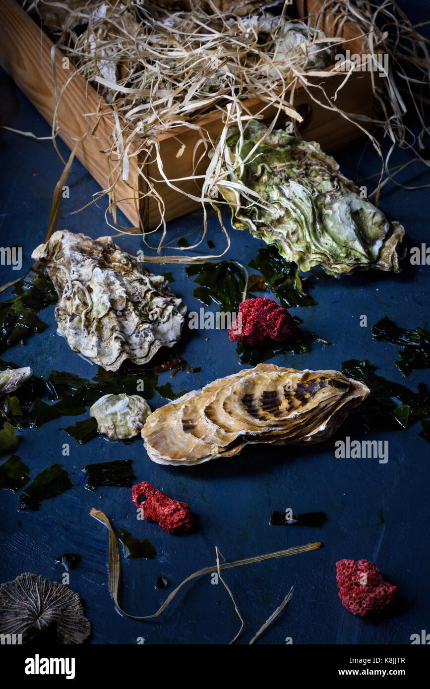 Diversi tipi di ostriche, frutti di mare ina scatola di legno. close up. Foto Stock