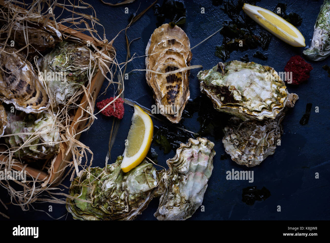 Le ostriche in una scatola di legno. produrre frutti di mare su sfondo blu.  al di sopra di vista Foto stock - Alamy