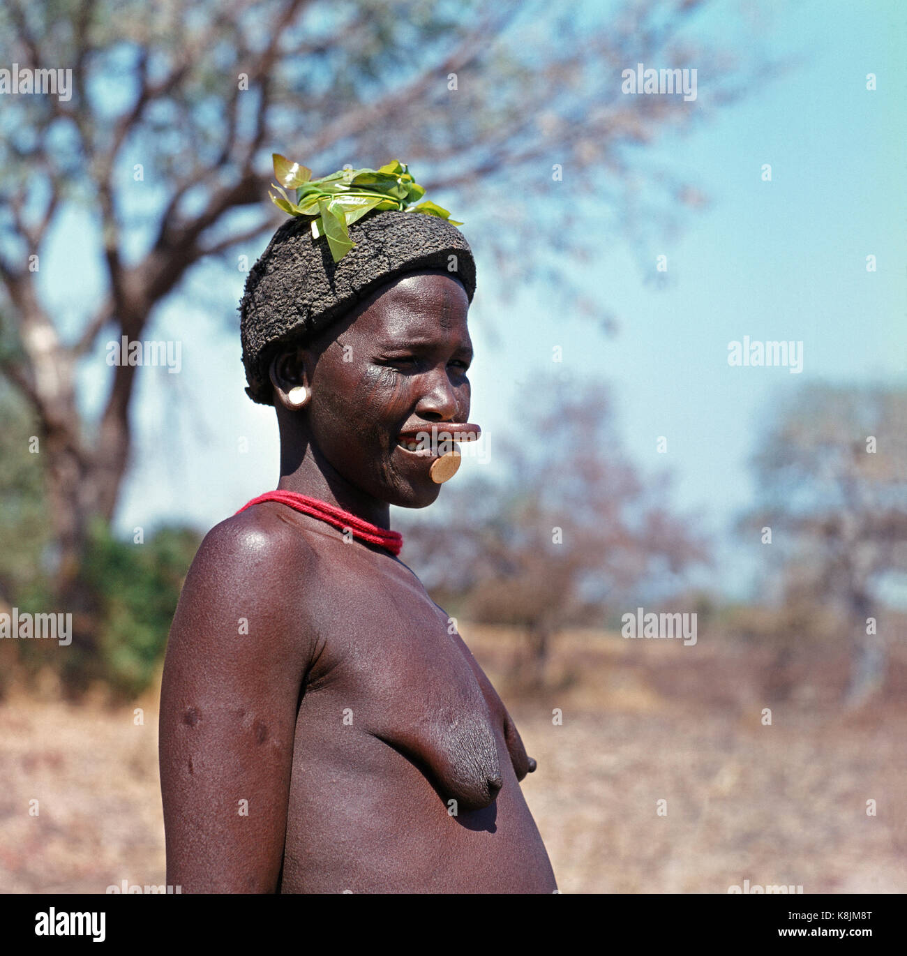 Una donna dalla cinghia centrale, Nigeria. Superiore e il labbro inferiore e lobo orecchio hanno osso o avorio dischi inseriti e la faccia viene scarificata con la famiglia recogniti tribali Foto Stock