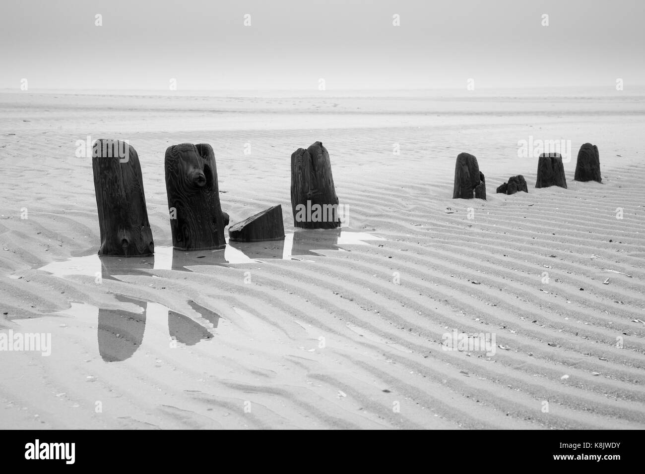 Inguine di legno al litorale, Sylt, nord Friesland, nel nord frisone isola, SCHLESWIG-HOLSTEIN, Germania, Europa Foto Stock