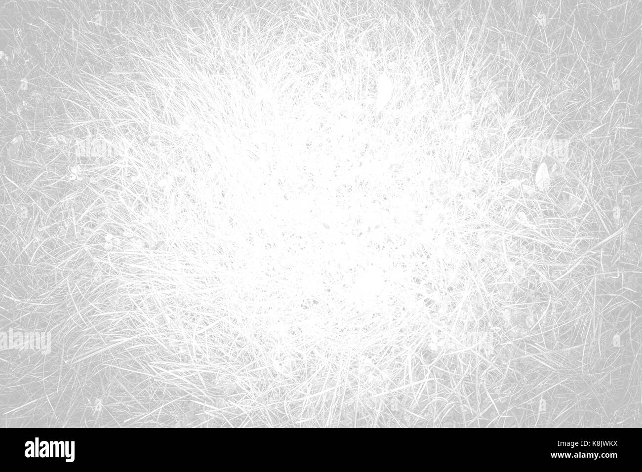 Verde erba texture con modelli naturali vista da sopra può essere usata come sfondo.tono di bianco Foto Stock