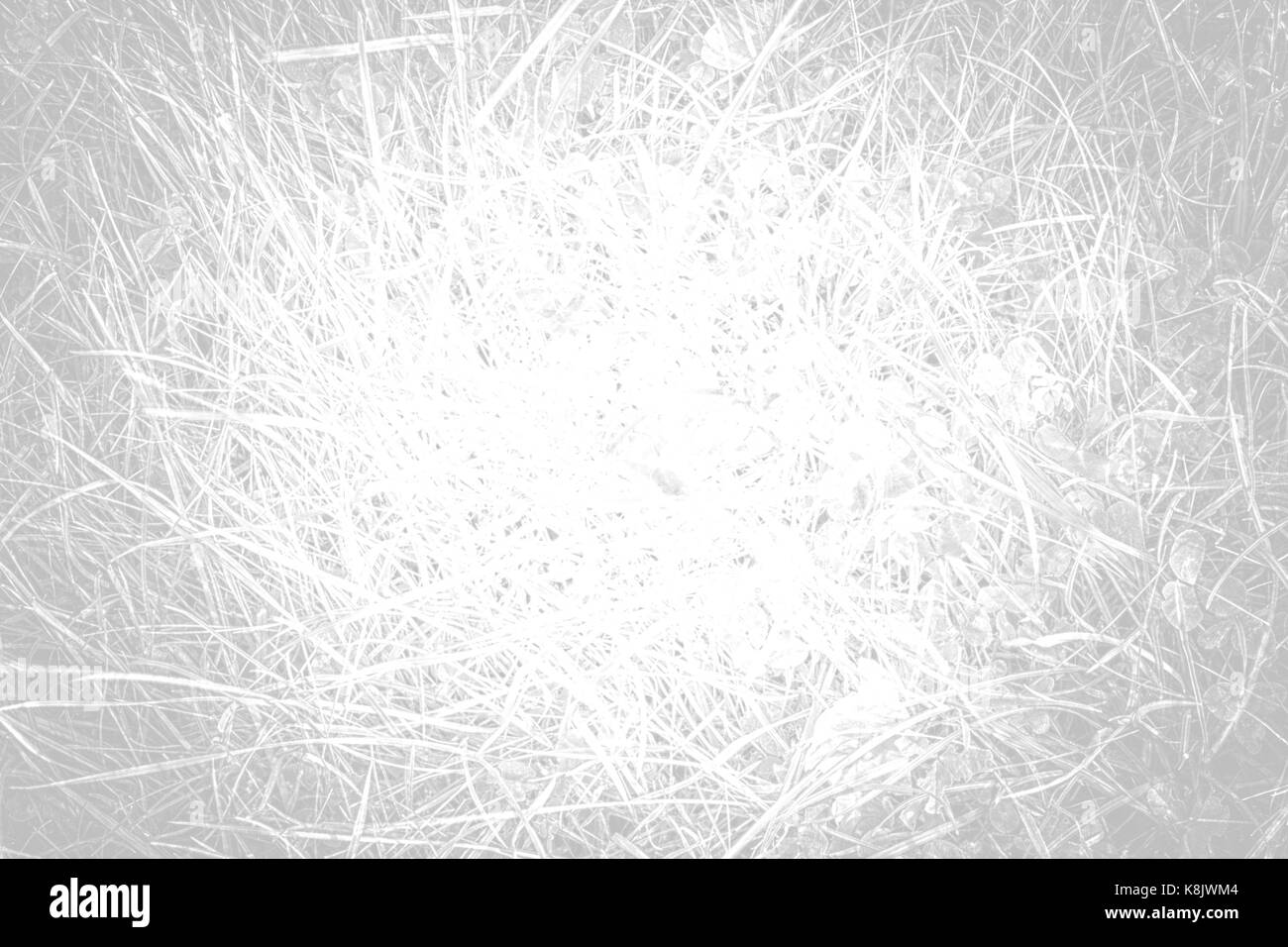 Verde erba texture con modelli naturali vista da sopra può essere usata come sfondo.tono di bianco Foto Stock