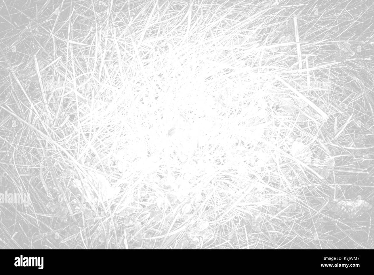 Verde erba texture con modelli naturali vista da sopra può essere usata come sfondo.tono di bianco Foto Stock