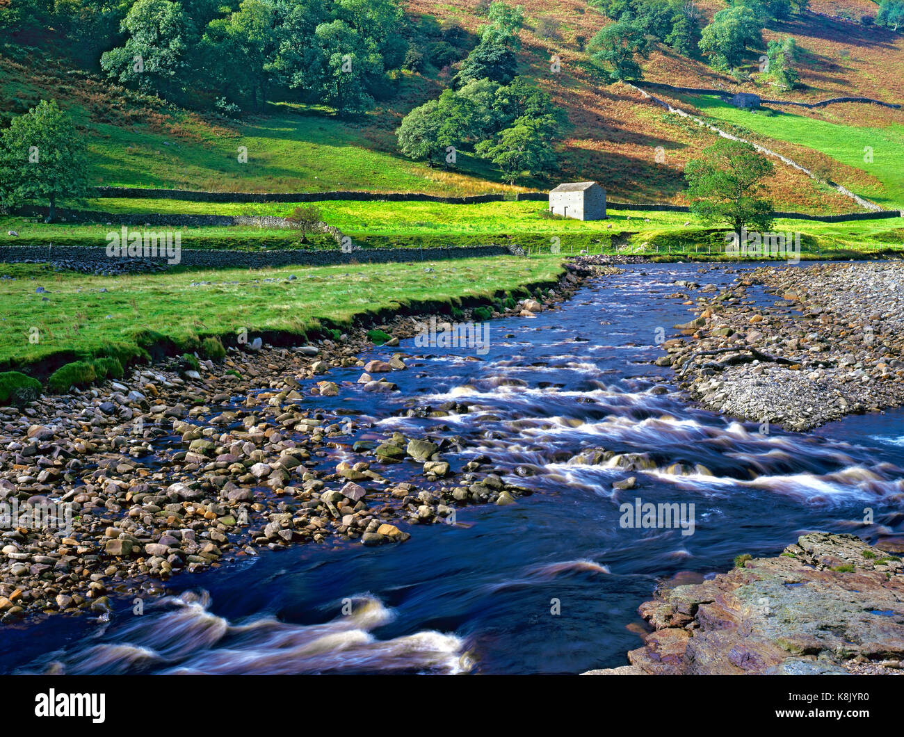 Una vista estiva del Fiume Swale nelle pittoresche valli dello Yorkshire, Inghilterra. Foto Stock