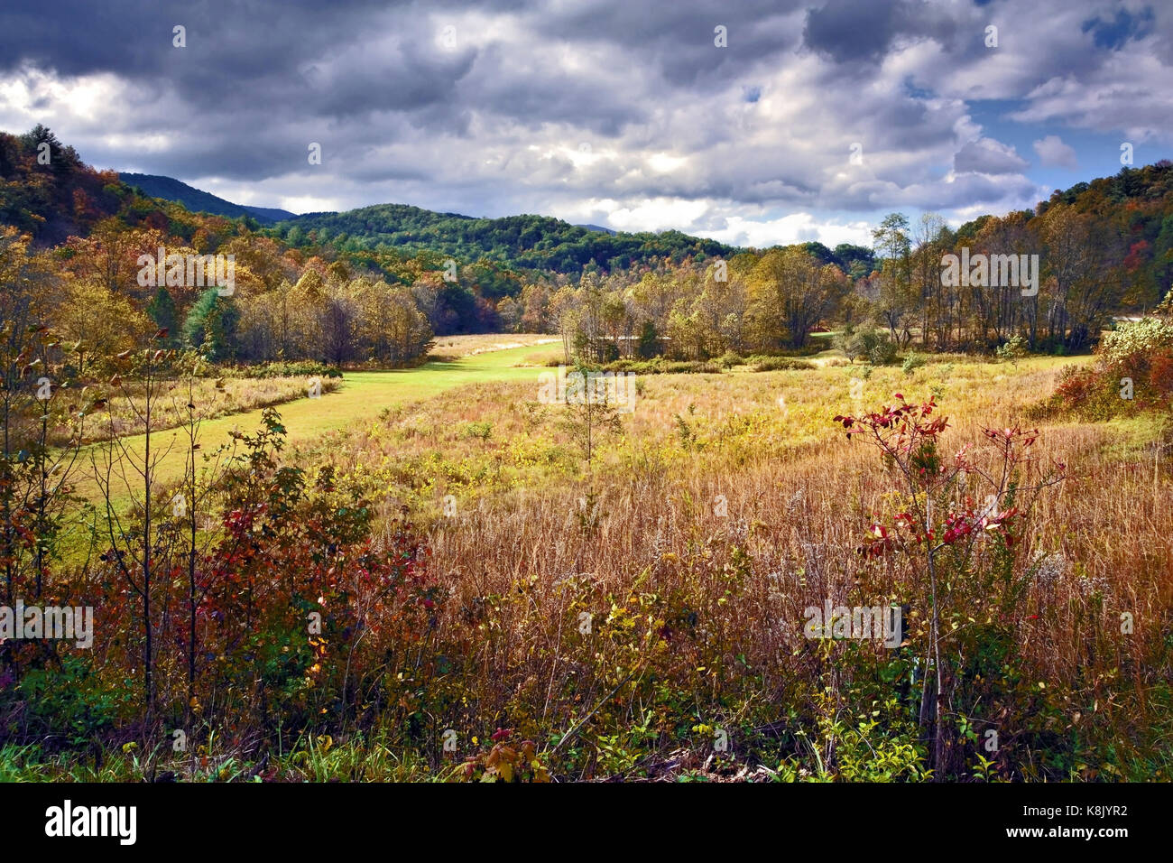 Una vista della colorata campagna a Hogpen Gap, Georgia, Stati Uniti durante la stagione autunnale Foto Stock