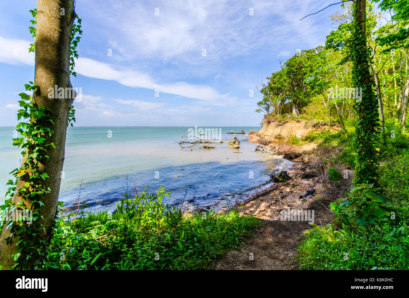 Costa bouldner passeggiata, vicino a Yarmouth Isle of Wight, siti di particolare interesse scientifico, subacquea foresta pietrificata Foto Stock