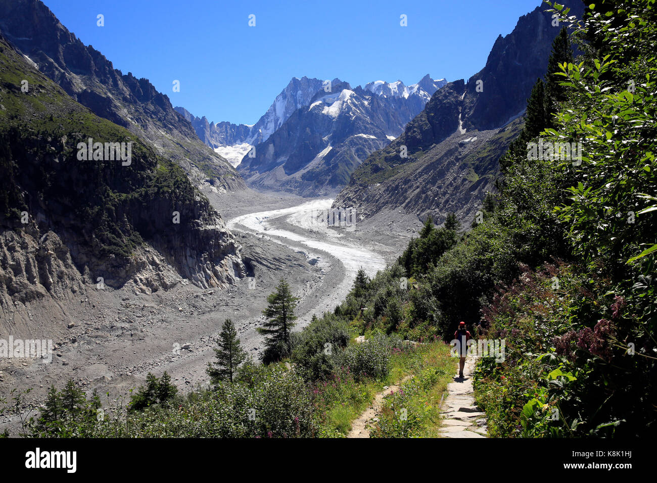 Le alpi francesi. mont blanc massif. La Mer de Glace (mare di ghiaccio glacier). Chamonix Francia. Foto Stock