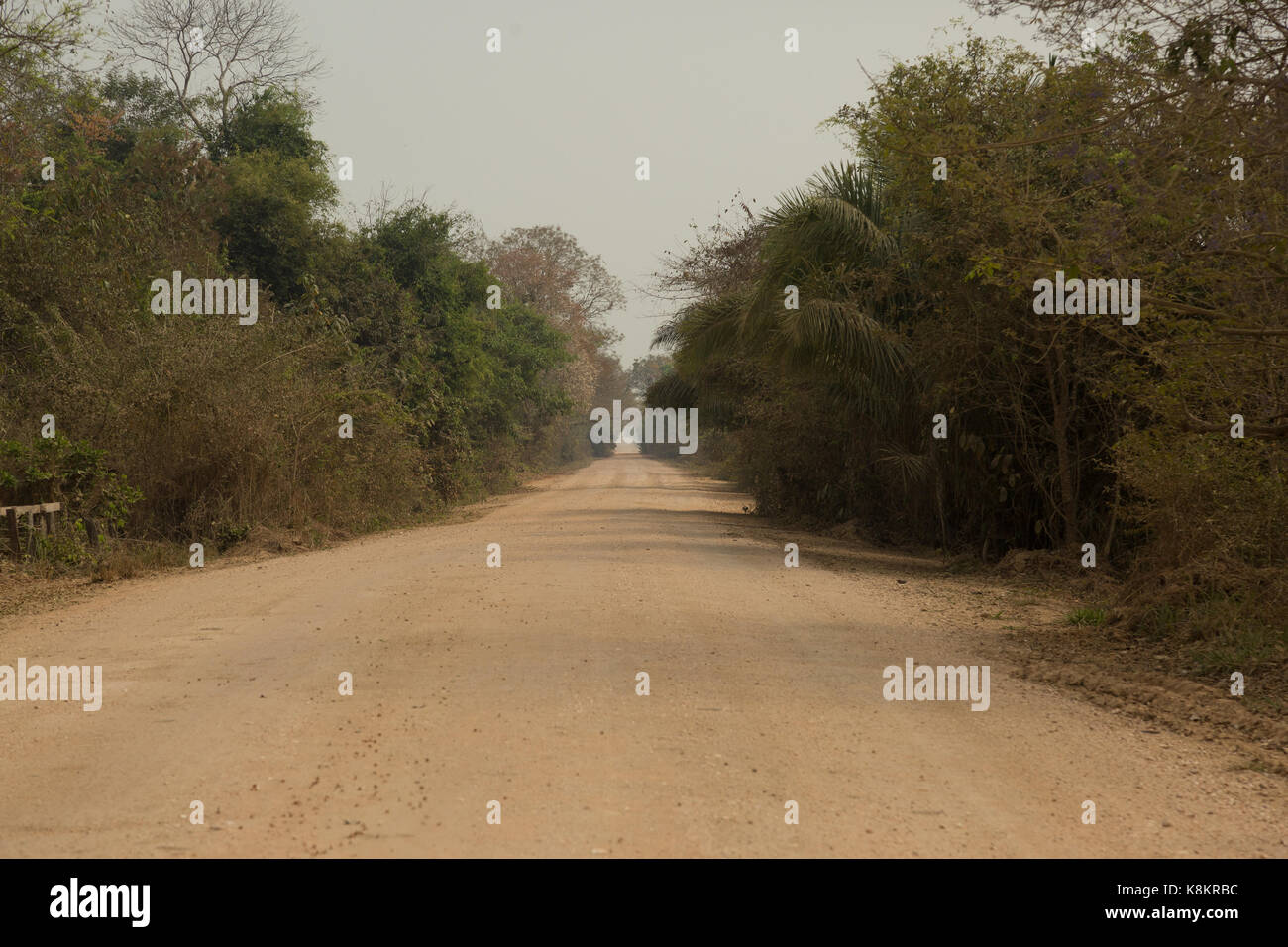 Pantanal brasiliano - transpantaneira road Foto Stock