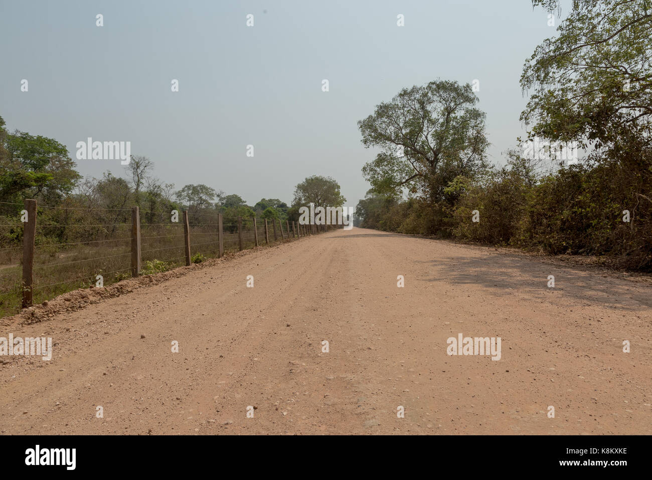 Pantanal brasiliano - transpantaneira road Foto Stock