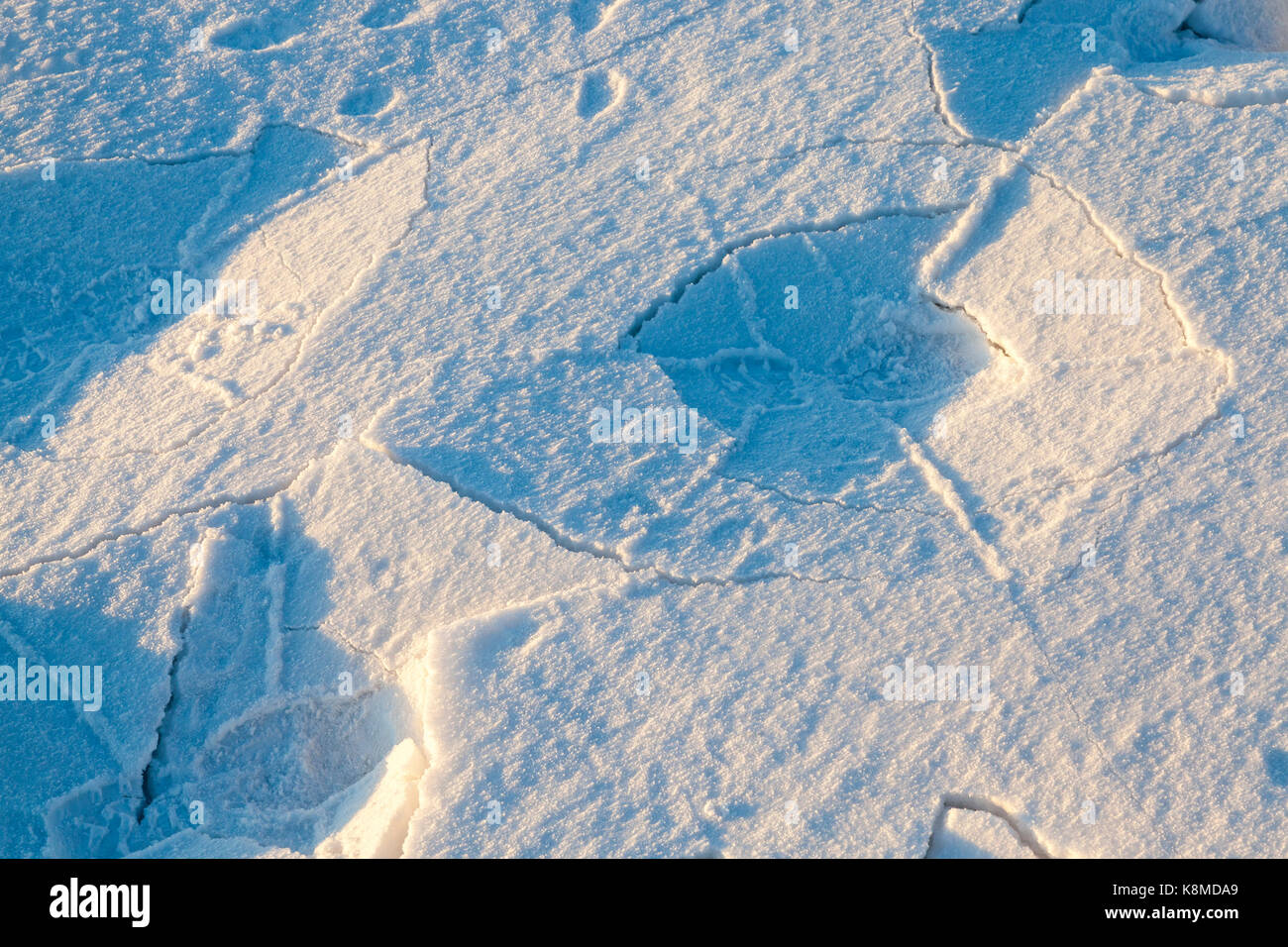 Poche tracce di scarpe per uomo nella neve. sulla neve non vi è ombra e crepe. fotografato close-up. Foto Stock