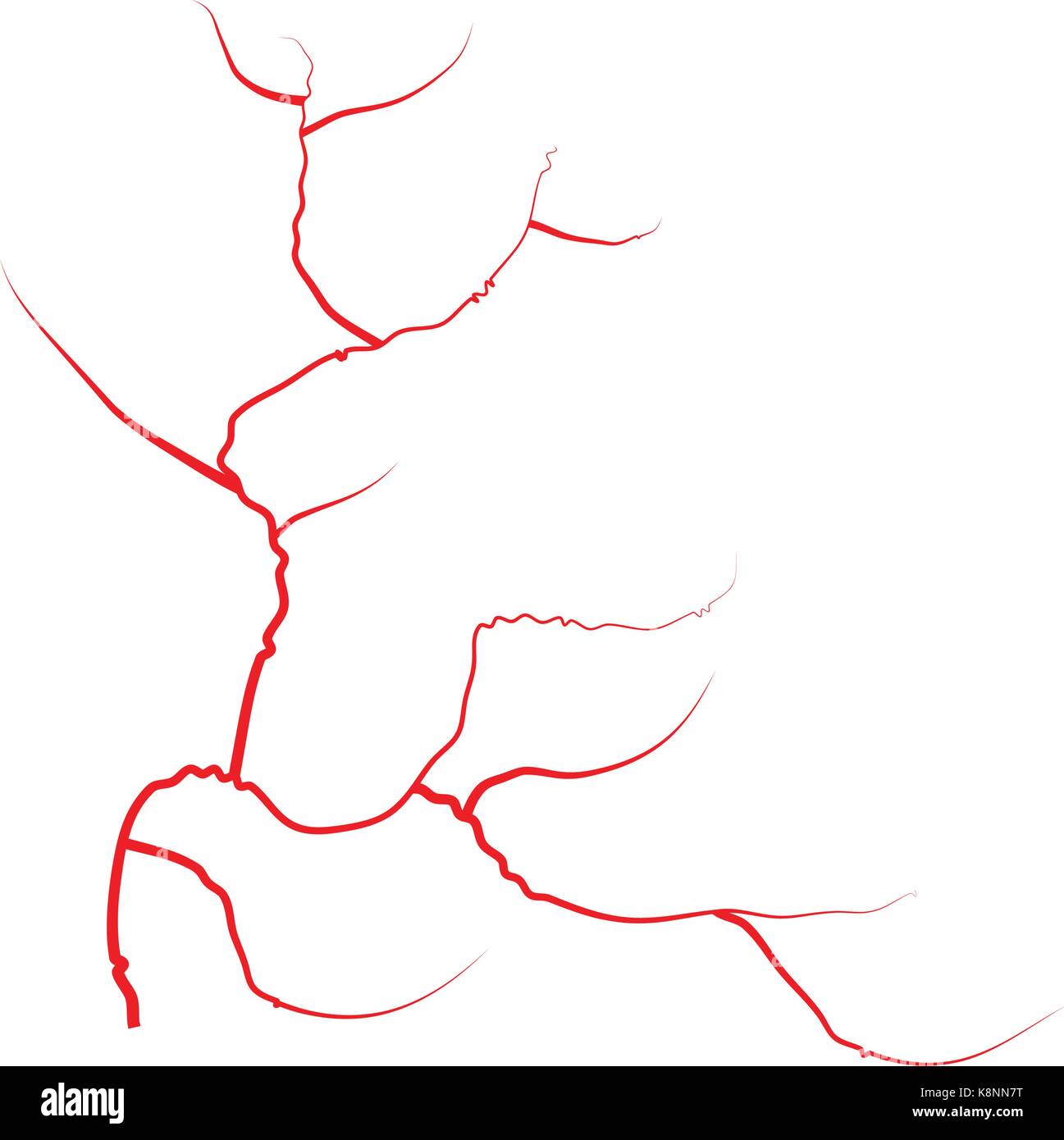 Occhio vene, rosso umano vasi sanguigni, sistema sanguigno. Illustrazione di vettore isolato su sfondo bianco Illustrazione Vettoriale