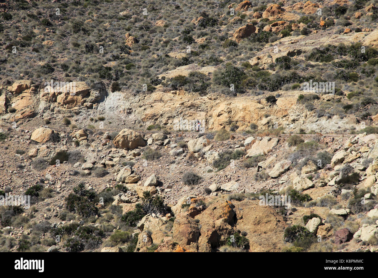 Persona in bicicletta nel Parco Nazionale Cabo de Gata, Monsul, nei pressi di San José, Almeria, Spagna Foto Stock