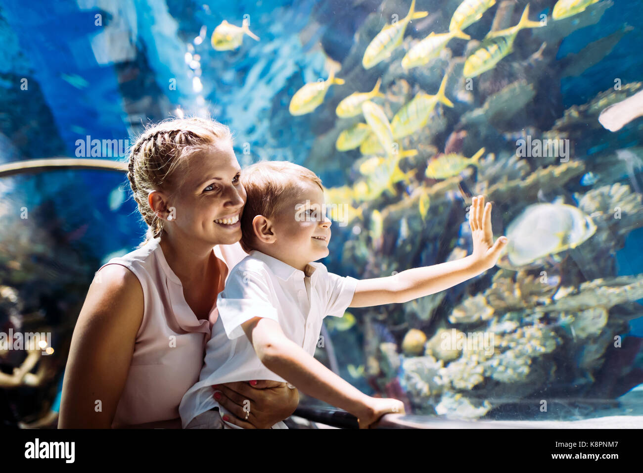 Madre e figlio guardando la vita di mare in oceanarium Foto Stock
